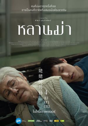How to Make Millions Before Grandma Dies's poster