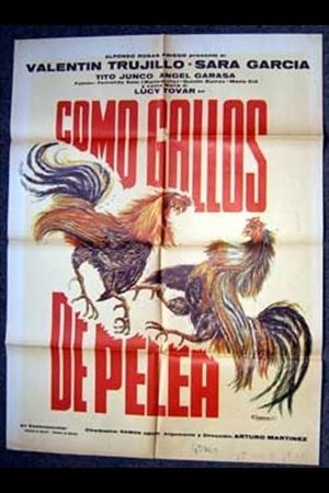 Como gallos de pelea's poster