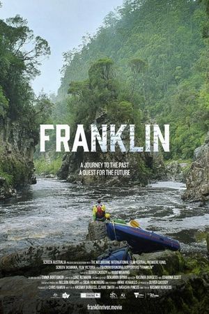 Franklin's poster