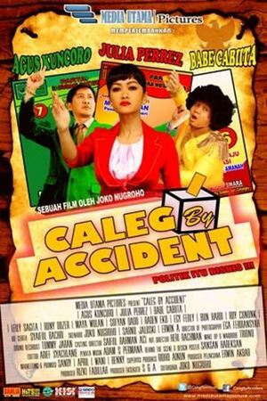 Caleg By Accident's poster image