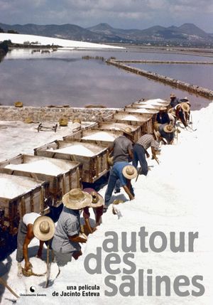 Autour des salines's poster