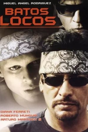 Batos locos's poster
