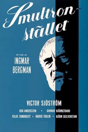 Wild Strawberries's poster