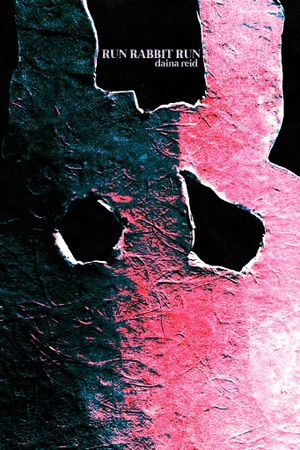 Run Rabbit Run's poster