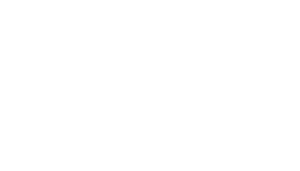 Che: Part Two's poster