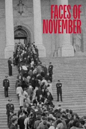Faces of November's poster