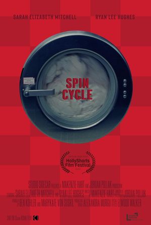Spin Cycle's poster