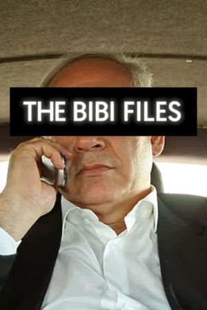 The Bibi Files's poster