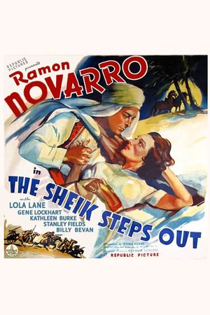 The Sheik Steps Out's poster