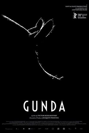 Gunda's poster
