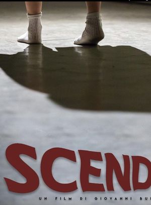 Scendere's poster