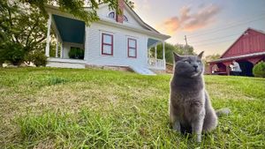 Red Letter Media Investigates: The Villisca Ax Murder House's poster