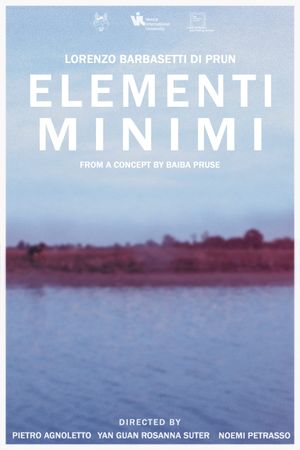 Basic Elements's poster