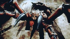 Spiders's poster