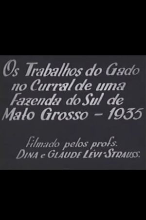 Cattle Work in the Corral of a Farm in Southern Mato Grosso's poster