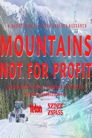 Mountains Not For Profit's poster