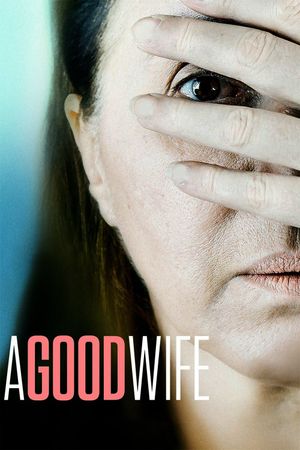 A Good Wife's poster