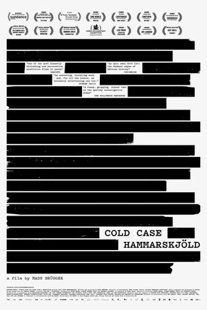 Cold Case Hammarskjöld's poster