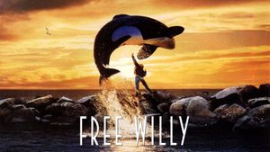 Free Willy's poster