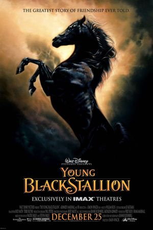 The Young Black Stallion's poster