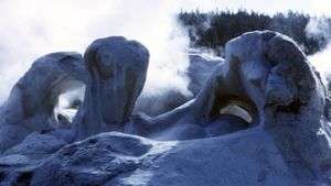 Face of the Earth's poster
