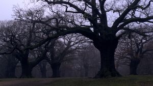 Sideworld: Haunted Forests of England's poster