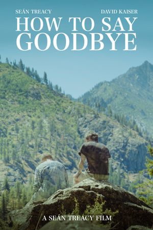 How To Say Goodbye's poster