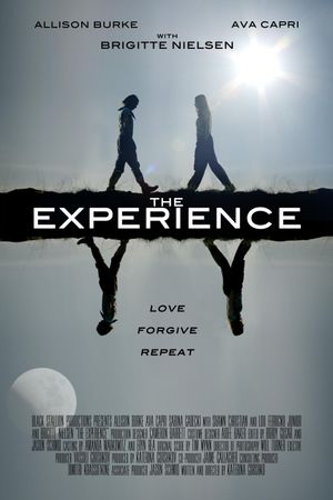 The Experience's poster