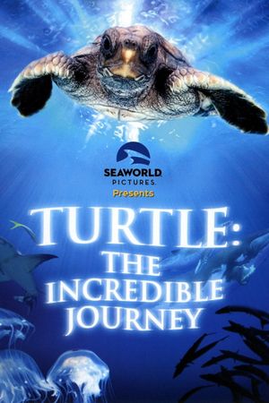 Turtle: The Incredible Journey's poster