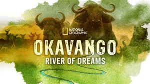 Okavango: River of Dreams - Director's Cut's poster
