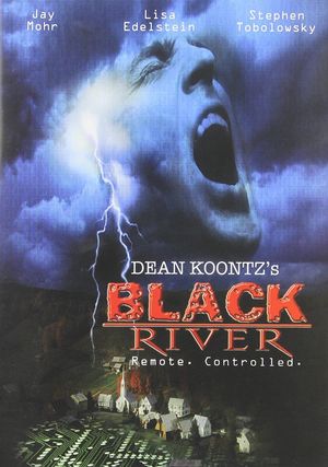 Black River's poster