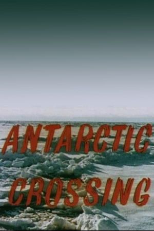 Antarctic Crossing's poster image