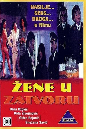 U zatvoru's poster
