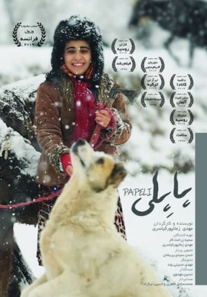 Papeli's poster