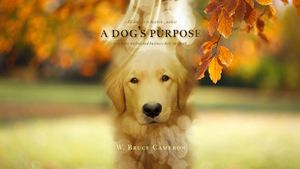 A Dog's Purpose's poster