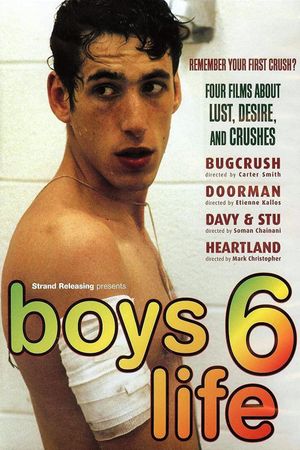 Boys Life 6's poster