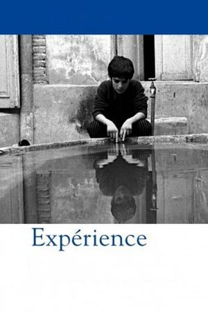 The Experience's poster
