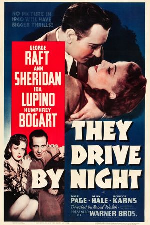 They Drive by Night's poster