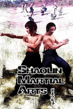 Shaolin Martial Arts's poster