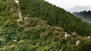 Dwelling in the Fuchun Mountains's poster