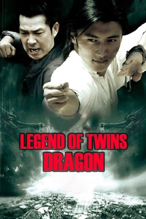 Legend of Twin Dragons's poster