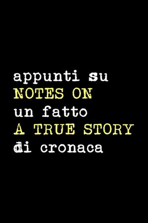 Notes on a True Story's poster