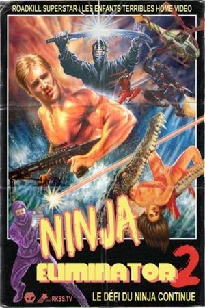 Ninja Eliminator 2: Quest of the Magic Ninja Crystal's poster