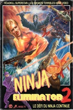 Ninja Eliminator 2: Quest of the Magic Ninja Crystal's poster image