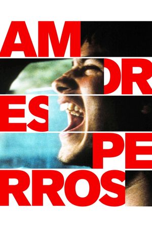 Amores Perros's poster