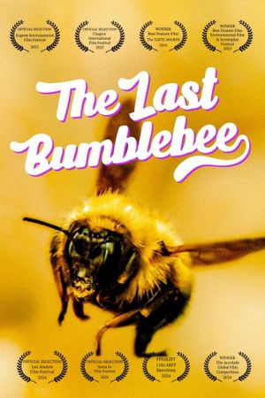 The Last Bumblebee's poster