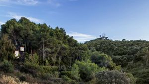 VALLDAURA: A Quarantine Cabin's poster