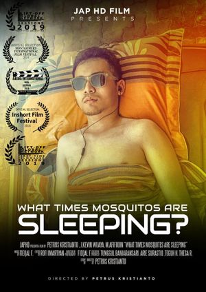 What Times Mosquitos Are Sleeping?'s poster