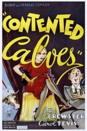 Contented Calves's poster