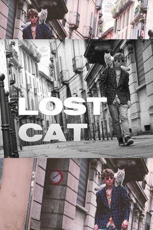 Lost Cat's poster image